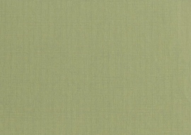 Wallcoverings 02, Canvas 10161