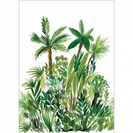 Green & Co, Fidji GCO 10400 70 04