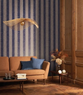 Les Rayures, Vienne RAYS 8736 65 05