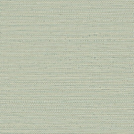 Golfe du Bengale, Zostera 7597 24 46