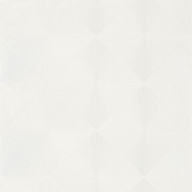 So White 4, Perception SWHT 8513 02 44