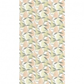 Once upon a time, Sweet Pear OUAT 8835 74 92