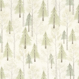 Once upon a time, Forest OUAT A8849 72 58