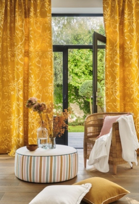 Camengo, Alpilles, Cyprès 4883 04 27