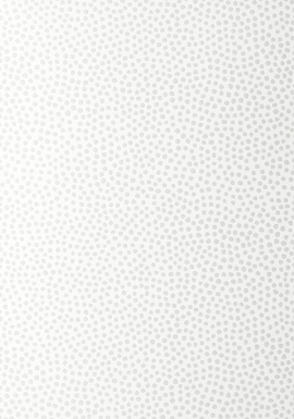 Small Scale, Davis Dot AT79160