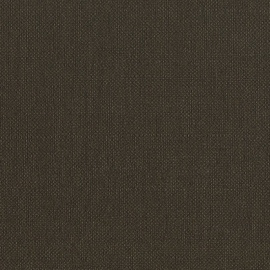 181 Lemuria, Unito Baobab 6562