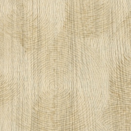 Bois sculpté, Volute VP 937 20