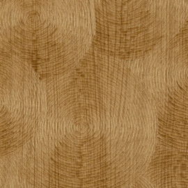 Bois sculpté, Volute VP 937 30