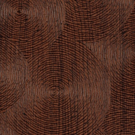 Bois sculpté, Volute VP 937 31
