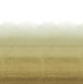 Scenes and Murales III, Shoshi Sepia PDG1163/05