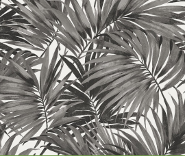 Coastal Haven, Cordelia Tossed Palms LN40700
