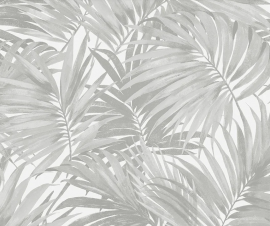 Coastal Haven, Cordelia Tossed Palms LN40708
