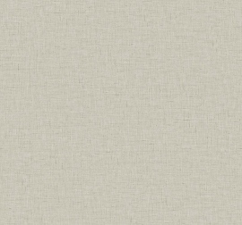 Edition 21 The Gentleman, Theodore CL70508