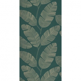 Green & Co, Banana Tree GCO 10110 72 51