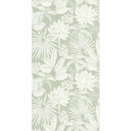 Green & Co, Hawai GCO 10143 70 41