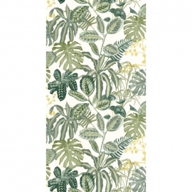 Green & Co, Manaus GCO 10389 70 67