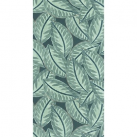 Green & Co, Caracas GCO 10390 77 03