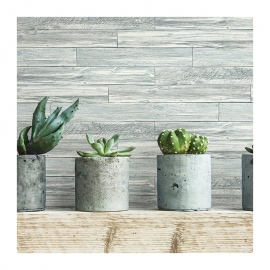 Wallquest, Grasslands, GL20502