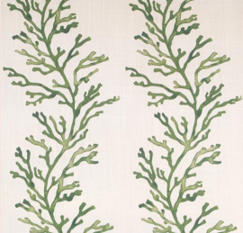 James Malone, Corallo In & Out 01 Green