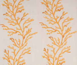 James Malone, Corallo In & Out 03 Ochre