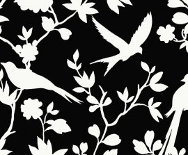 Coastal Haven, Kauai Bird Toile LN40900