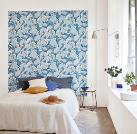 Méditerranée, Riviera  MEDI 8741 66 37