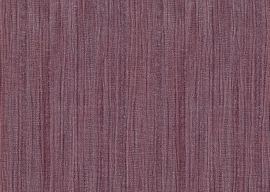 Primus, Memole de Riga 50008
