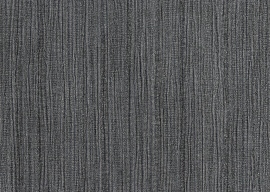 Primus, Memole de Riga 50016