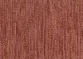 Primus, Memole de Riga 50022