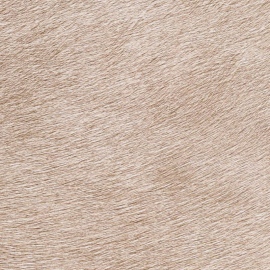 Indomptée, Sierra VP 625 40