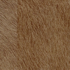 Indomptée, Sierra VP 625 10