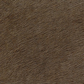 Indomptée, Sierra VP 625 26