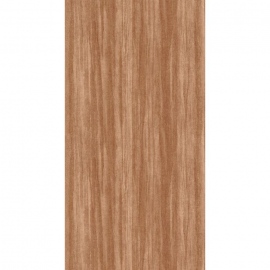 Nicaragua, EUCALYPTUS 8598 25 25
