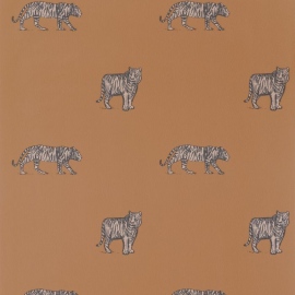 Our Planet, eye of the tiger, OUP 10196 29 29