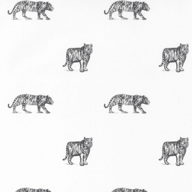 Our Planet, eye of the tiger, OUP 10196 99 16