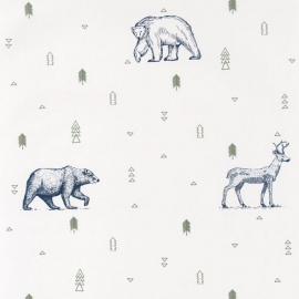 Our Planet,grizzly bears, OUP 10198 60 09