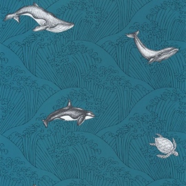 Our Planet,under the sea, OUP 10201 66 08