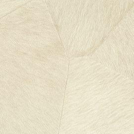 Sauvages, Pampa VP 967 01