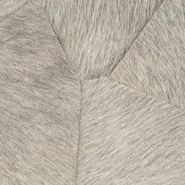 Sauvages, Pampa VP 967 04