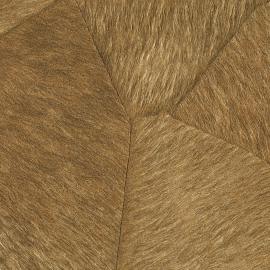 Sauvages, Pampa VP 967 15