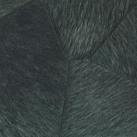 Sauvages, Pampa VP 967 42