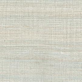 Cérès, Rhea VP 1008 81