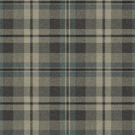 Papel Pintado Carl Robinson 24 The Highlands Dundee CA10112 Gray and Blue