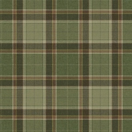 Papel Pintado Carl Robinson 24 The Highlands Stirling CA10404 Olive Green