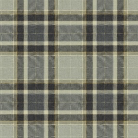 Papel Pintado Carl Robinson 24 The Highlands Stirling CA10408 Warm Gray 