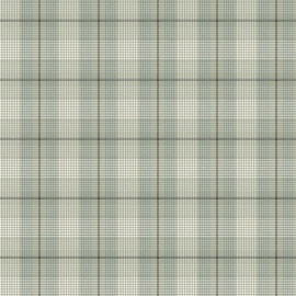 Papel Pintado Carl Robinson 24 The Highlands Torridon CA11002 Gray
