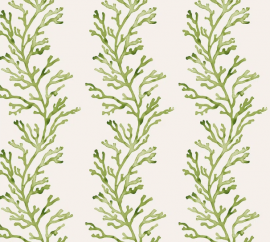 Papers, Kelp WP 40411 Green