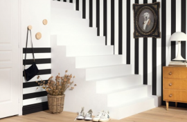 Basics, Wide Lines BAI 10402 92 90