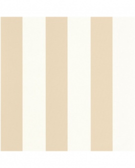 Basics, Wide Lines BAI 10402 10 50