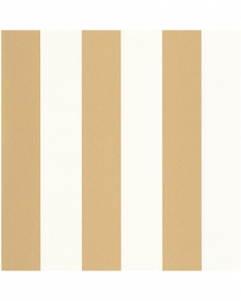 Basics, Wide Lines BAI 10402 20 20